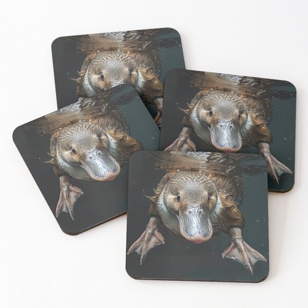 Item preview, Diving Platypus designed and sold by Elisabeth Lucas.