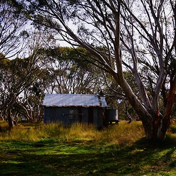 Artwork thumbnail, The Hut by D-GaP