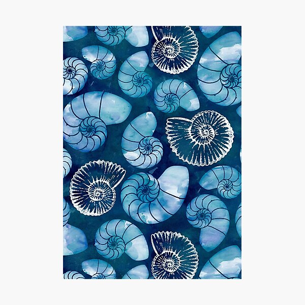 Item preview, Nautilus fossils in sapphire blue designed and sold by adenaJ.