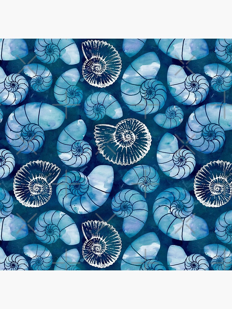 Nautilus fossils in sapphire blue by adenaJ