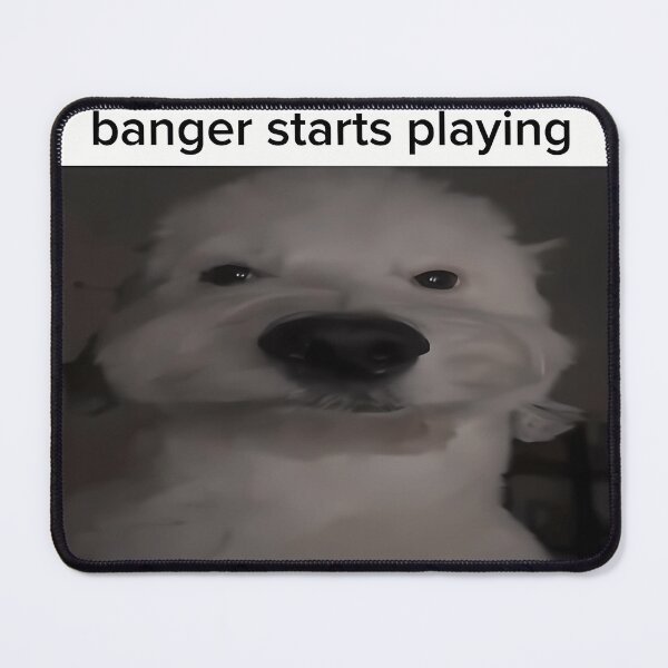 Item preview, When Bro Unplugs My Headphones And This Banger Starts Playing Meme designed and sold by Brandynoss.