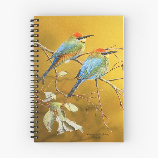 Item preview, Here Comes the Sun (Rainbow Bee-eaters) designed and sold by Frances McMahon Watercolour Bird Artist.
