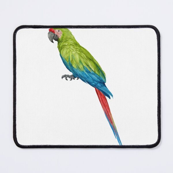 Item preview, Parrots (Psittaciformes), also known as psittacines are birds with a strong curved beak, upright stance, and clawed feet. designed and sold by stephenshermang.