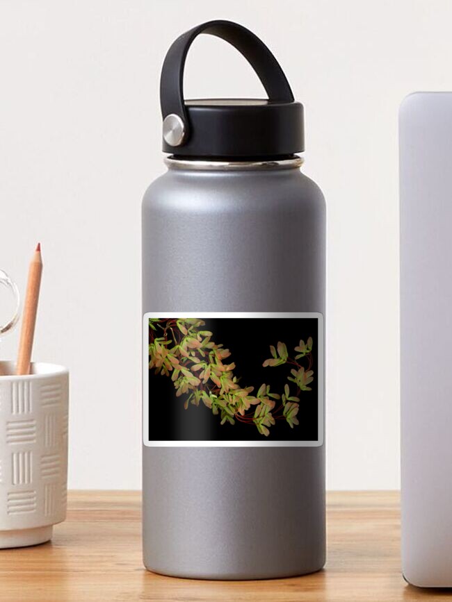 Thumbnail 1 of 3, Sticker, Maple Bough Dark Botanical designed and sold by LindasPhotoArt.