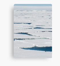 Solitude Canvas Print