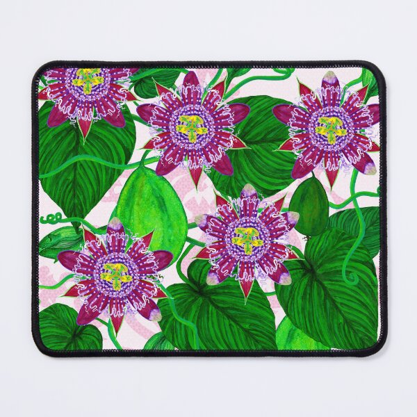 Item preview, Passiflora alata  designed and sold by joancaronil.