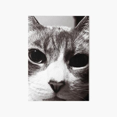 Face it Cat Art Board Print