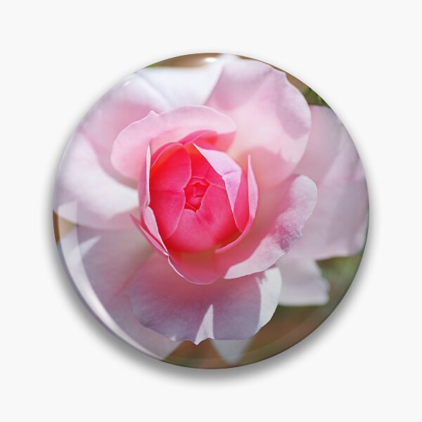 Item preview, Elegant Single Pink Rose designed and sold by Joy Watson - Natural Light Photography .