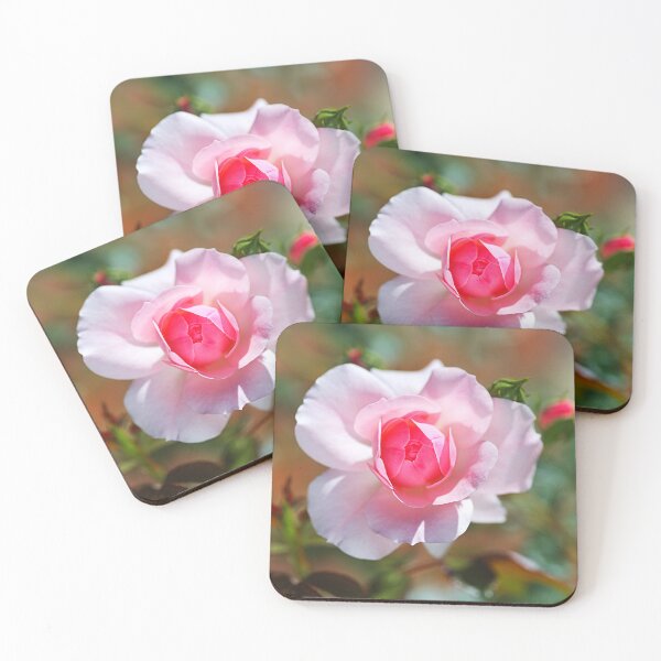 Item preview, Elegant Single Pink Rose designed and sold by Joy Watson - Natural Light Photography .