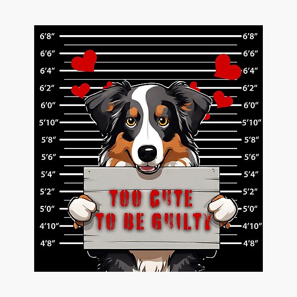 Item preview, Prisoner Dog Australian Shepherd Dog "Too Cute To Be Guilty" designed and sold by GoodyPaws.