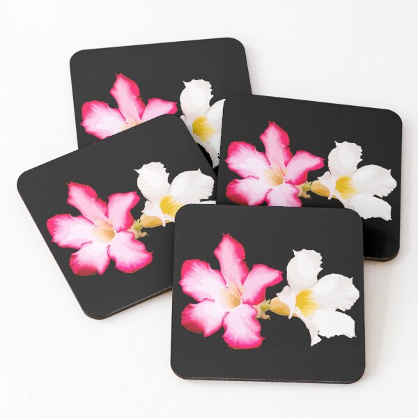 Item preview, pink flowers  and white flowers of Adenium obesum,  desert rose, Sabi star, kudu, mock azalea,  impala lily. designed and sold by MiMee4451.