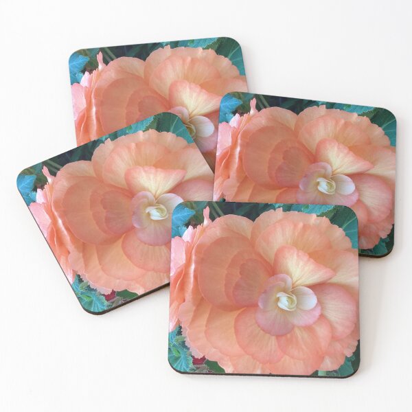 Item preview, peach begonia designed and sold by Pauline  Whitburn.