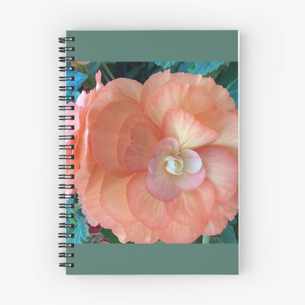 Item preview, peach begonia designed and sold by Pauline  Whitburn.