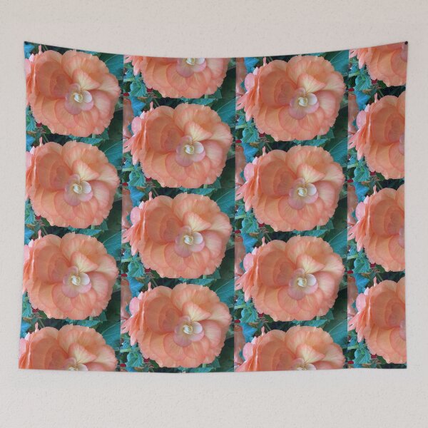 Item preview, peach begonia designed and sold by Pauline  Whitburn.