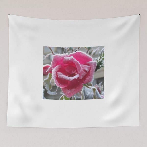 Artikelvorschau, '' FROSTED ROSE '' entworfen und verkauft von WINTERROSE.