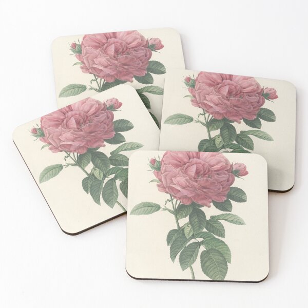 Item preview, Rosa Gallica Flore giganteo Flower Scientific Vintage Illustration designed and sold by Lacasadellora.