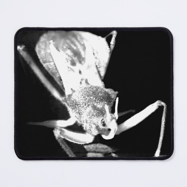 Item preview, The Alien Bug! designed and sold by Mickangelhere.