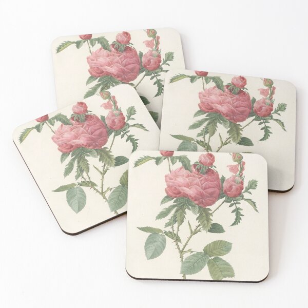 Item preview, Rosa Centifolia Prolifera Foliacea Rose Scientific Vintage Illustration designed and sold by Lacasadellora.