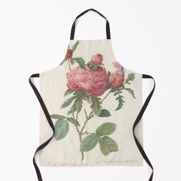 Item preview, Rosa Centifolia Prolifera Foliacea Rose Scientific Vintage Illustration designed and sold by Lacasadellora.