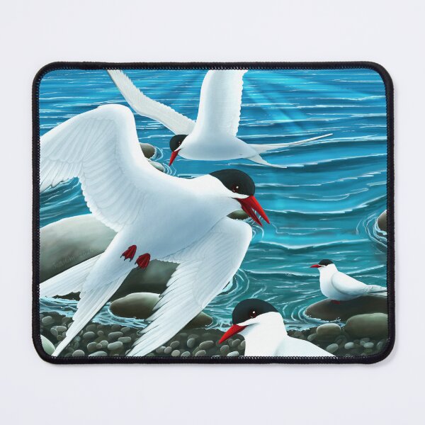 Item preview, Arctic Terns designed and sold by JeMiChi Art.