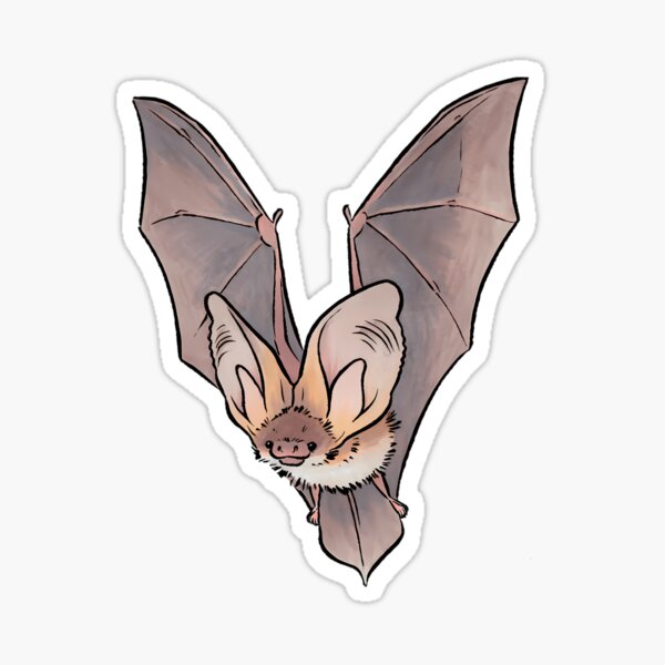 Item preview, Grey long-eared bat  designed and sold by CHRISTOMYR.