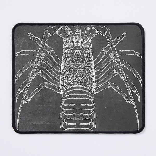 Item preview, Lobster Chalkboard designed and sold by JoolyA.