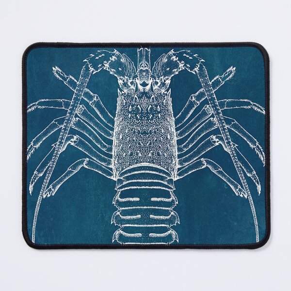 Item preview, Lobster Blueprint designed and sold by JoolyA.