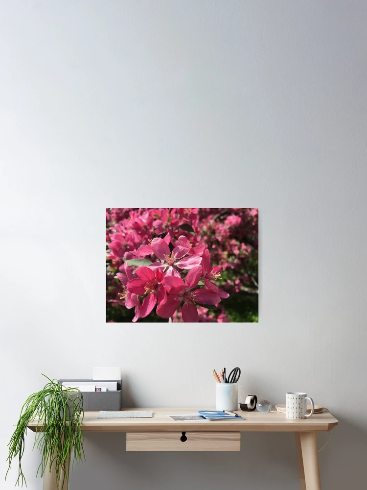 Thumbnail 2 of 3, Poster, Spring tree designed and sold by Altiel.