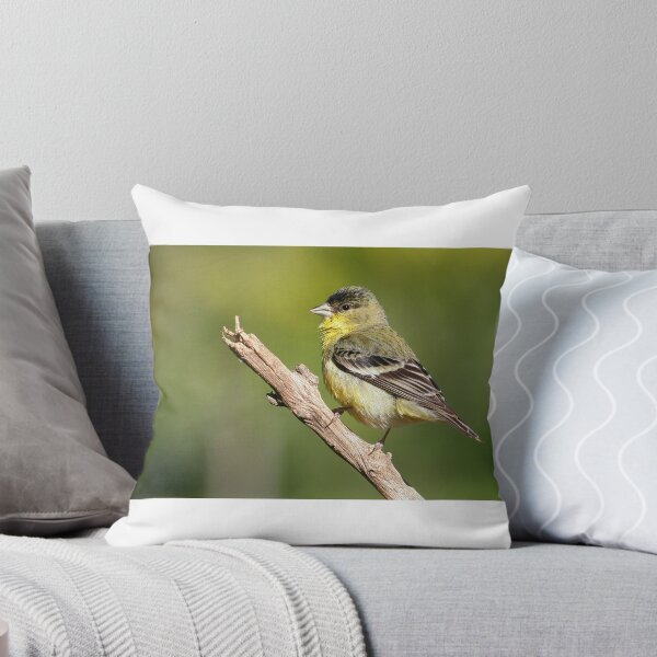 Item preview, Lesser Goldfinch designed and sold by adjohnson.