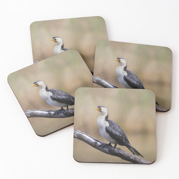Item preview, pied cormorant - bird designed and sold by Tara Smithson.