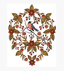 New Beginnings - Spring/Summer Floral Pattern With Robins, Branches & Flowers Photographic Print