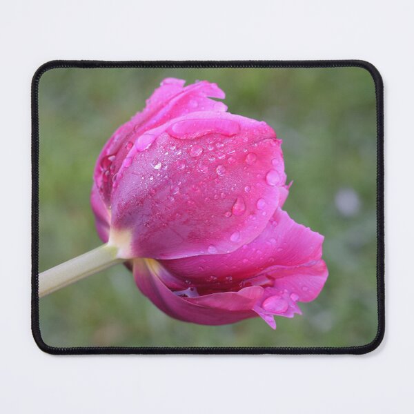 Item preview, Pink tulip designed and sold by CatherineMoore4.