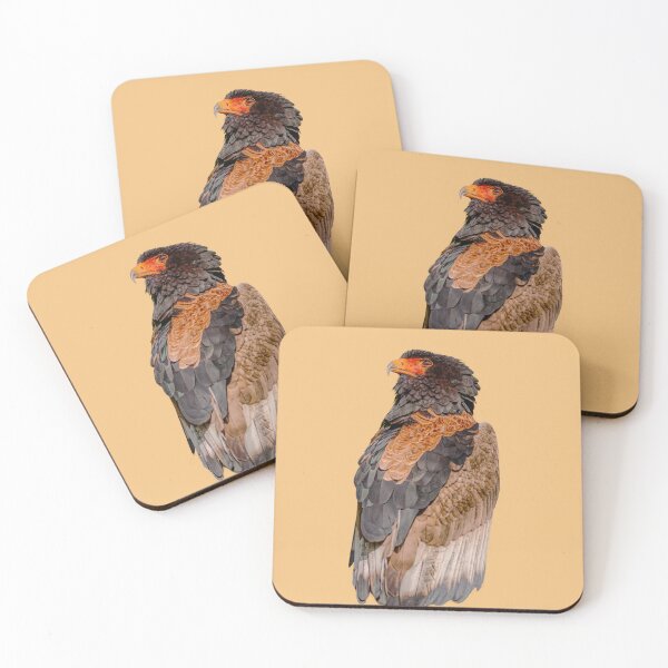 Item preview, A falconers  Magnificent Bateleur Eagle designed and sold by Dalyndigital Photography.