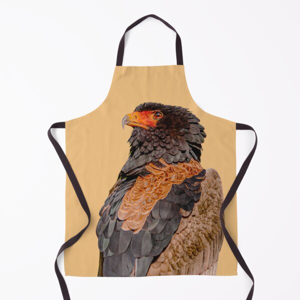 Item preview, A falconers Magnificent Bateleur Eagle designed and sold by Dalyndigital Photography.