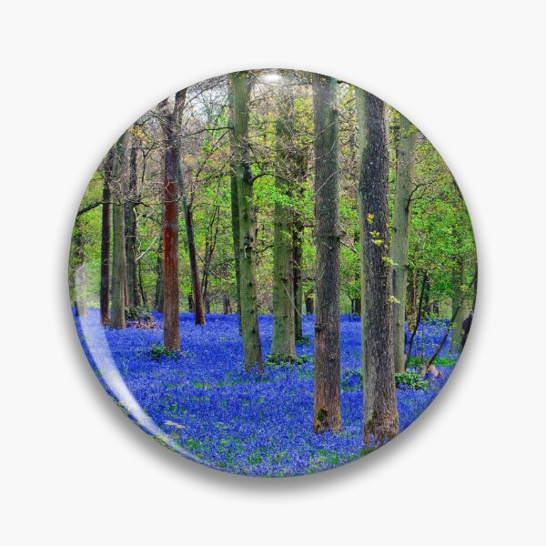 Item preview, Bluebell Woods Greys Court Oxfordshire England designed and sold by AndyEvansPhotos.