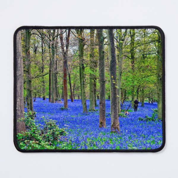 Item preview, Bluebell Woods Greys Court Oxfordshire England designed and sold by AndyEvansPhotos.