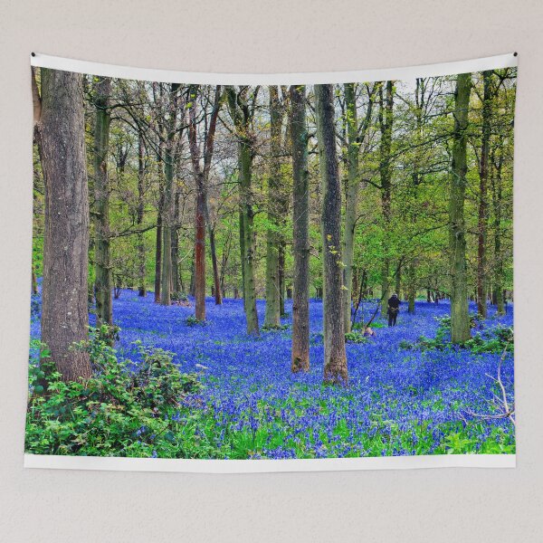 Item preview, Bluebell Woods Greys Court Oxfordshire England designed and sold by AndyEvansPhotos.