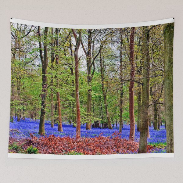 Item preview, Bluebell Woods Greys Court Oxfordshire England designed and sold by AndyEvansPhotos.