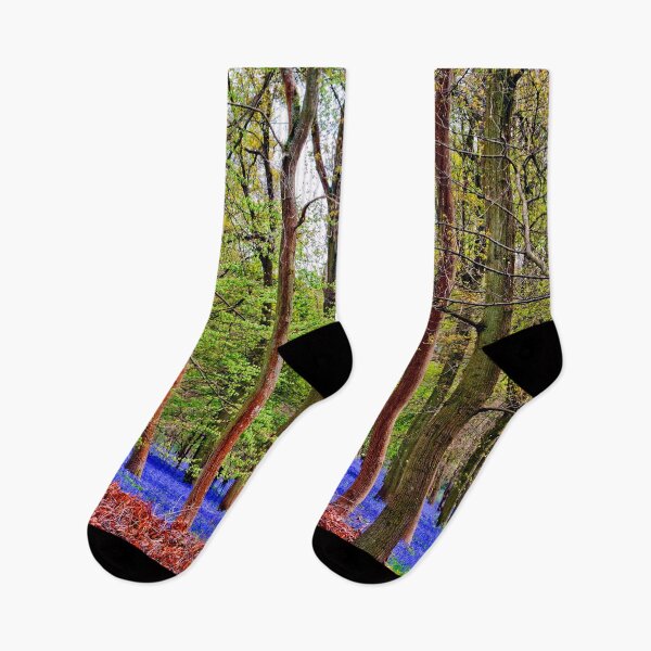 Item preview, Bluebell Woods Greys Court Oxfordshire England designed and sold by AndyEvansPhotos.