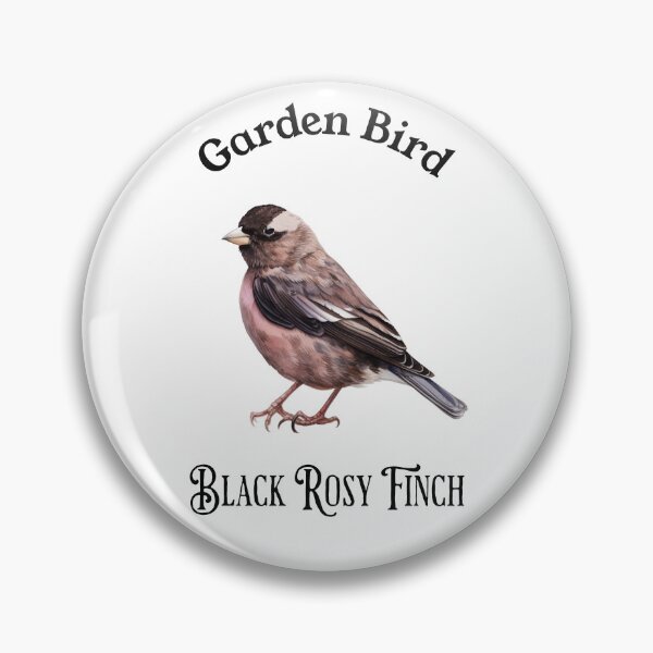 Item preview, Garden Bird Black Rosy Finch designed and sold by DavidBriot.