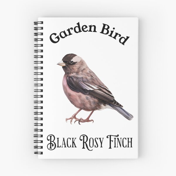 Item preview, Garden Bird Black Rosy Finch  designed and sold by DavidBriot.