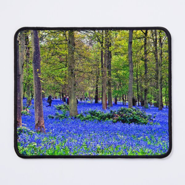 Item preview, Bluebell Woods Greys Court Oxfordshire England designed and sold by AndyEvansPhotos.
