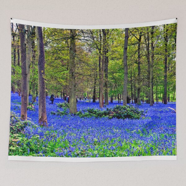 Item preview, Bluebell Woods Greys Court Oxfordshire England designed and sold by AndyEvansPhotos.