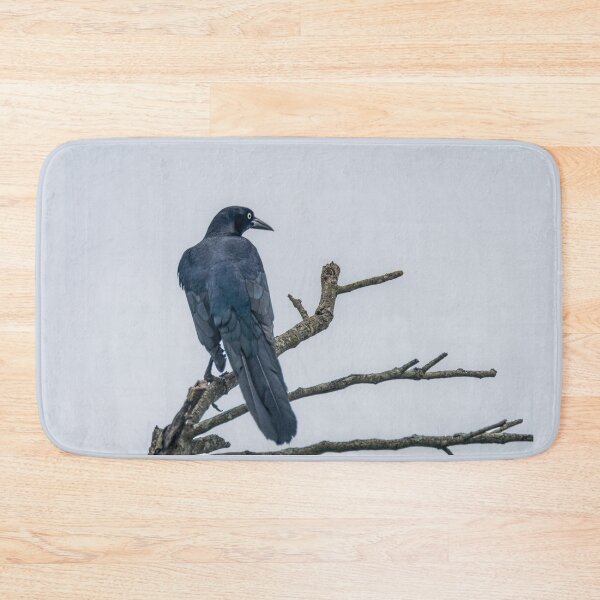 Item preview, Great Tailed Grackle Perched designed and sold by Debra Martz.