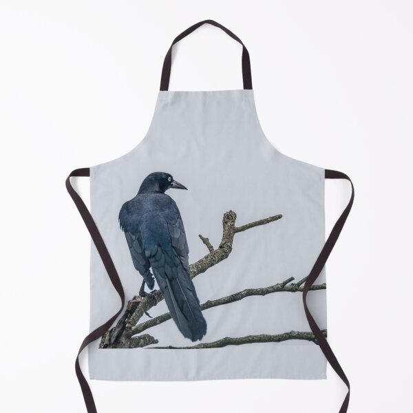 Item preview, Great Tailed Grackle Perched designed and sold by Debra Martz.
