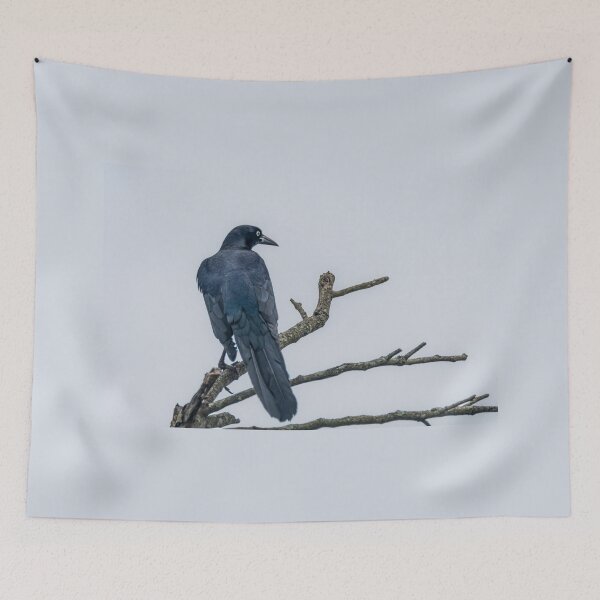 Item preview, Great Tailed Grackle Perched designed and sold by Debra Martz.