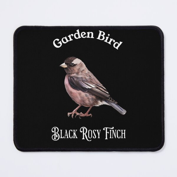 Item preview, Garden Bird Black Rosy Finch designed and sold by DavidBriot.