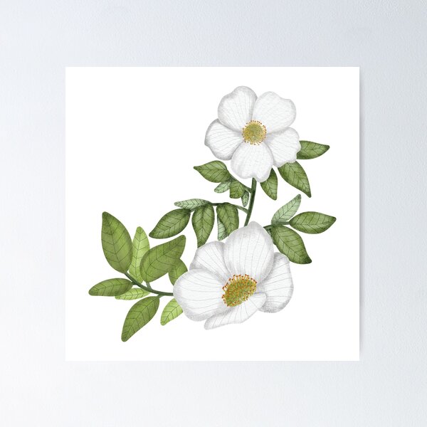 Item preview, Wild white rose blooming designed and sold by pinkyfish1010.
