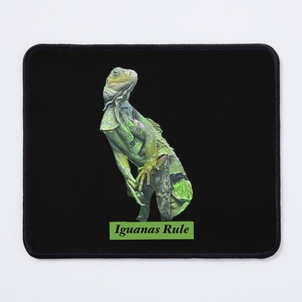 Item preview, Iguanas Rule designed and sold by Jane Domenech.