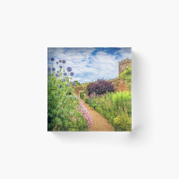 Item preview, Echinops at Rousham designed and sold by Viv Thompson Photography .